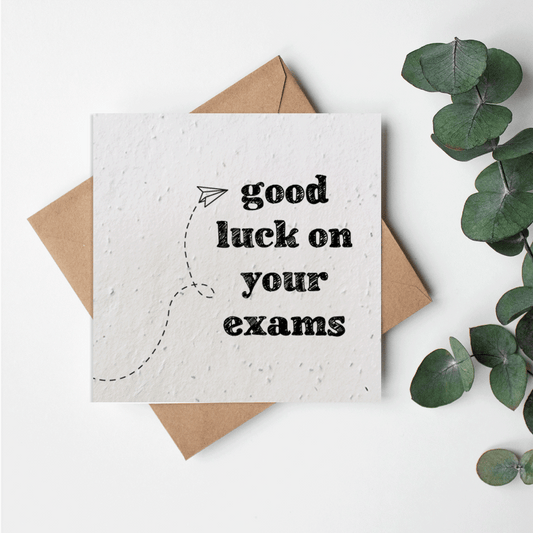 Academics - Paper planes - Good Luck exams