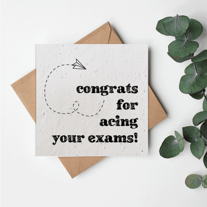 Academics - Paper planes - Congrats exams