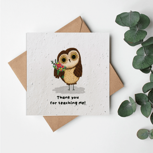 Cute Animals - Thank you teacher owl