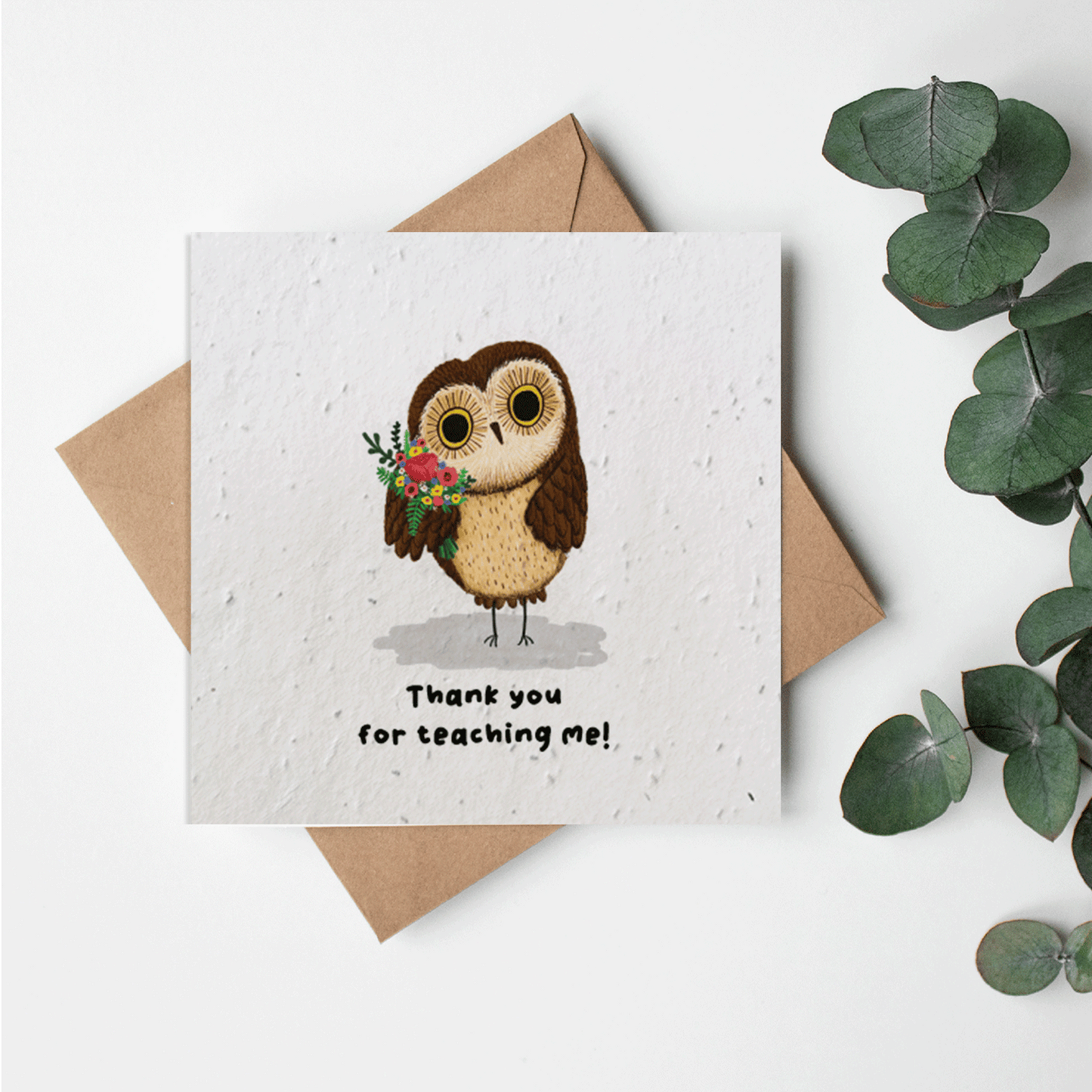 Cute Animals - Thank you teacher owl