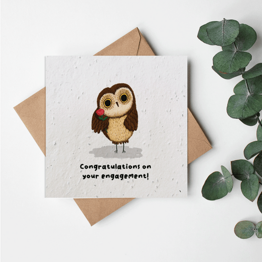 Cute Animals - Engagement owl