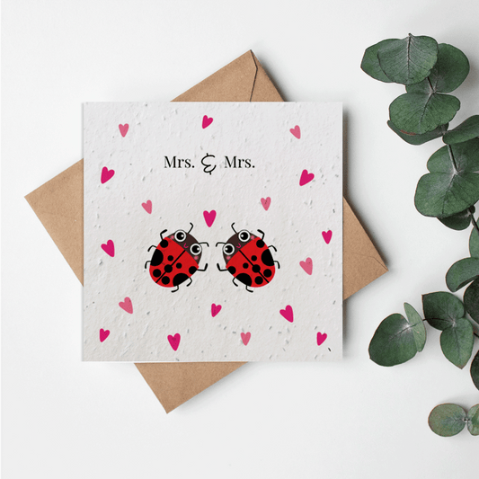 Bugs - Mrs and Mrs bees