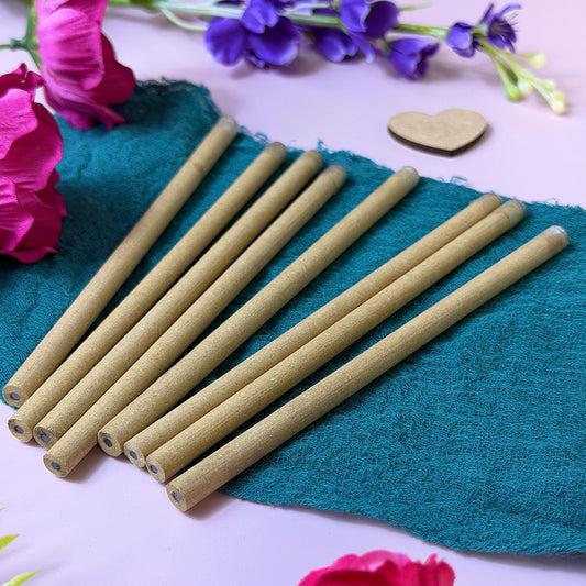 Eco-Friendly Plant-a-Pencil - PENCIL ONLY