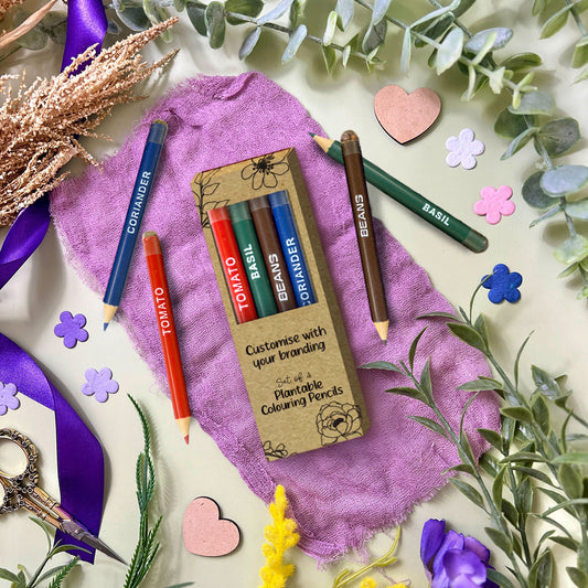 Colouring Pencils Box (Pack of 4) - Custom