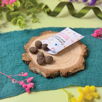 Seed Balls in a Pillow Box