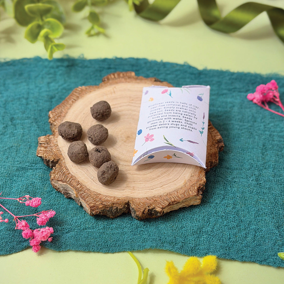 Seed Balls in a Pillow Box