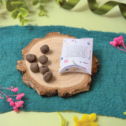 Seed Balls in a Pillow Box