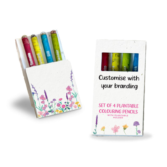 Colouring Pencils (Pack of 4) - Custom
