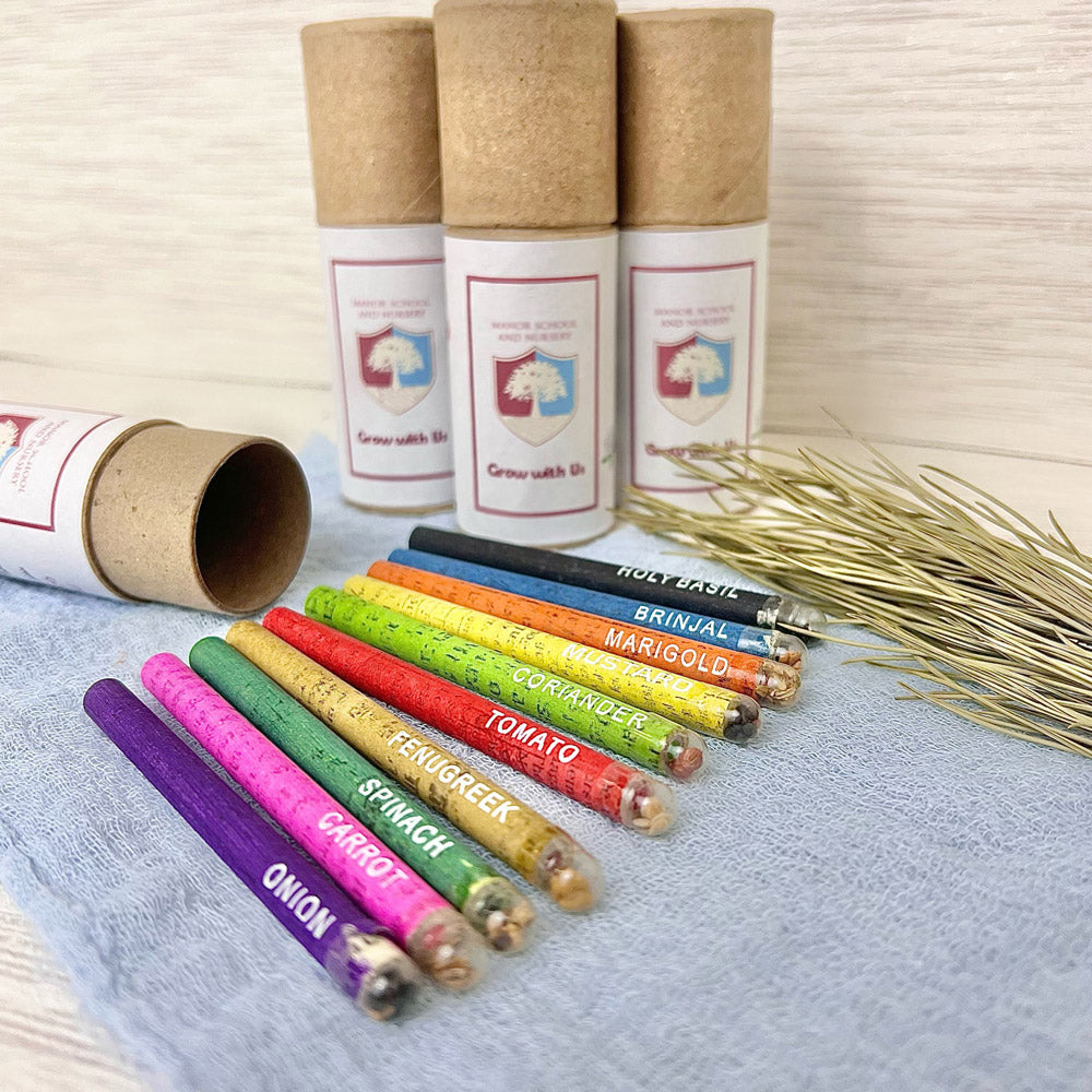 Recycled Paper Colored Pencils – Chicory Naturalist