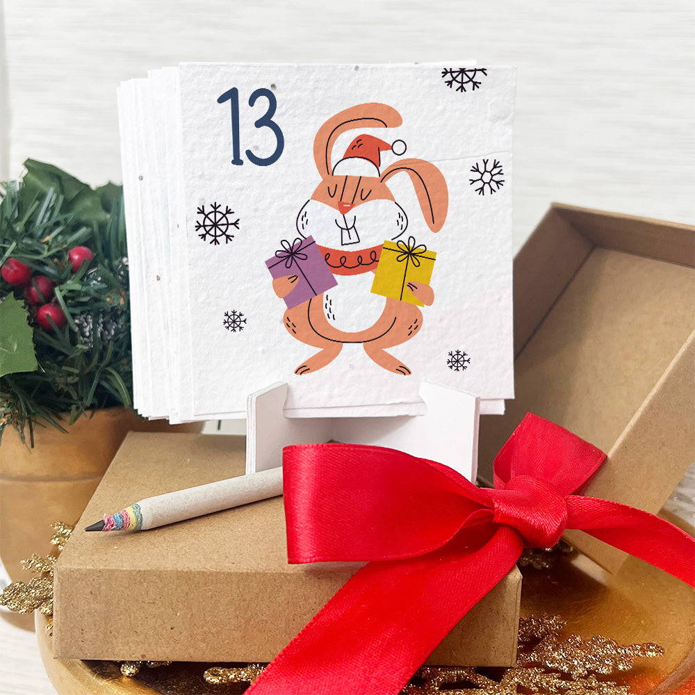 Seed Paper Plantable Advent Calendar - Quirky Christmas