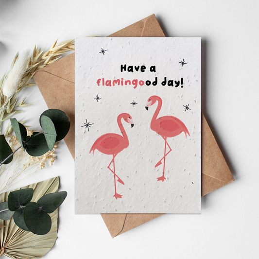 Zoo - Flamingo