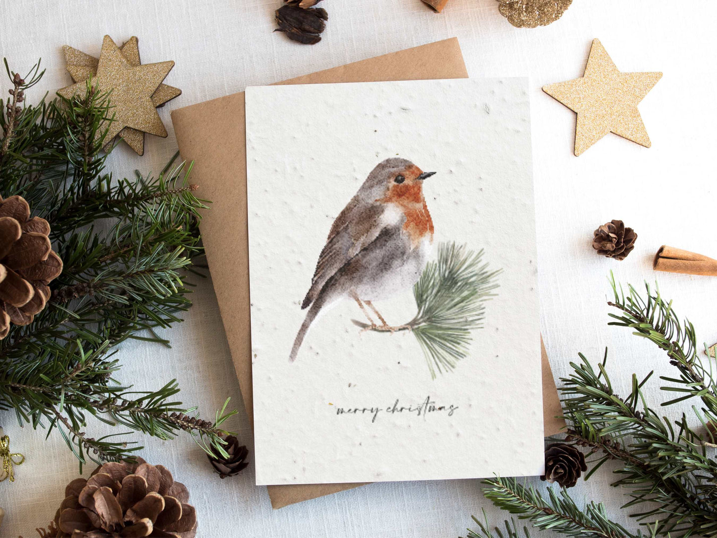 Plantable Seed Paper Christmas Cards 4-Pack - Robins Greeting Card Little Green Paper Shop
