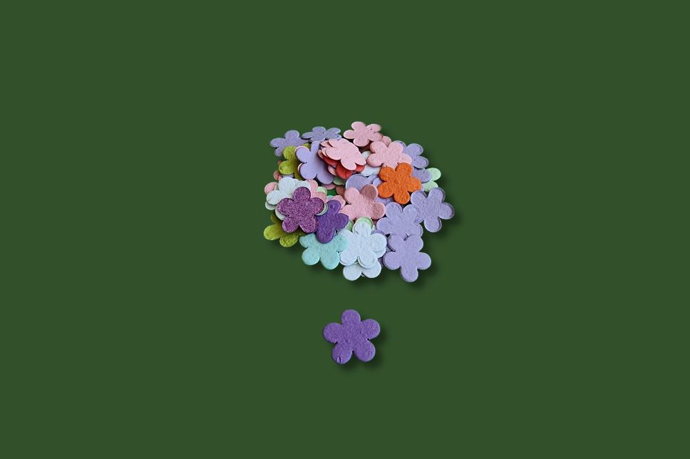 Plantable Seed Paper Confetti Flowers Colour  Little Green Paper Shop