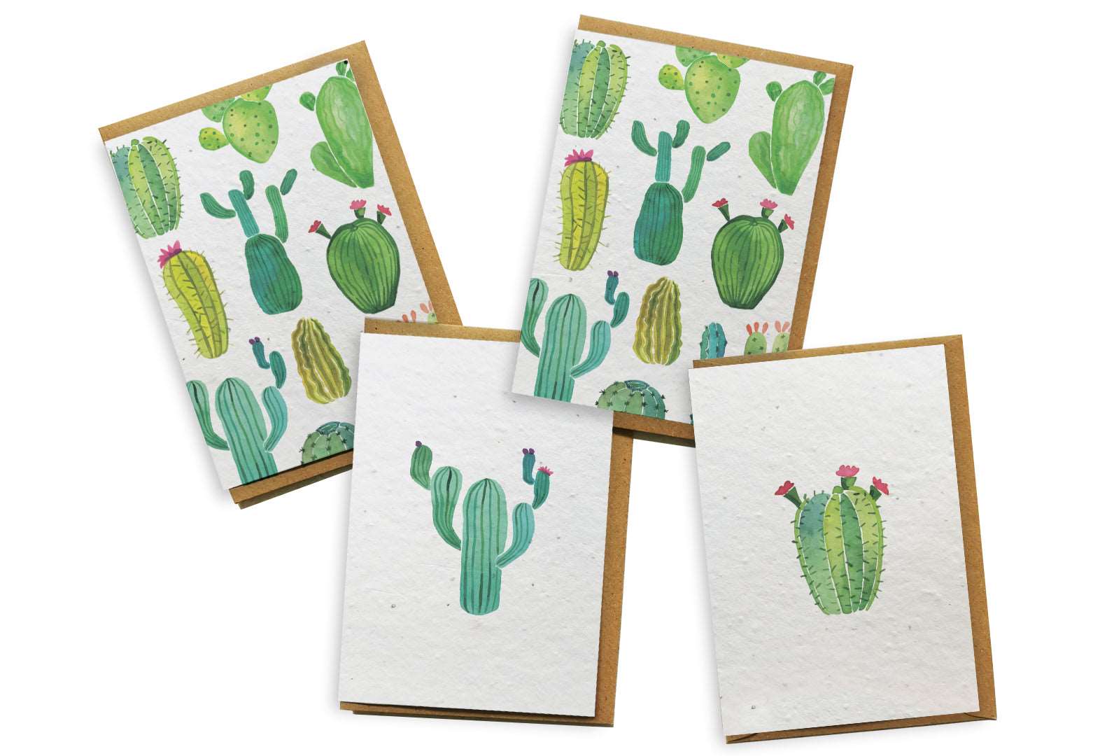 Plantable Seed Paper Card 4-Pack - Cactus Greeting Card Little Green Paper Shop