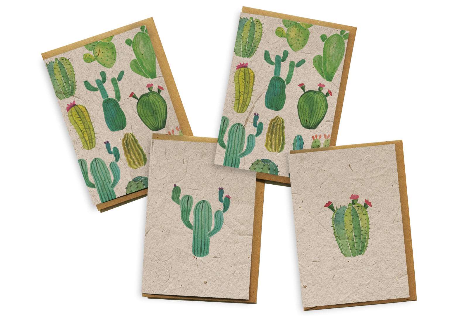 Plantable Seed Paper Card 4-Pack - Cactus Greeting Card Little Green Paper Shop
