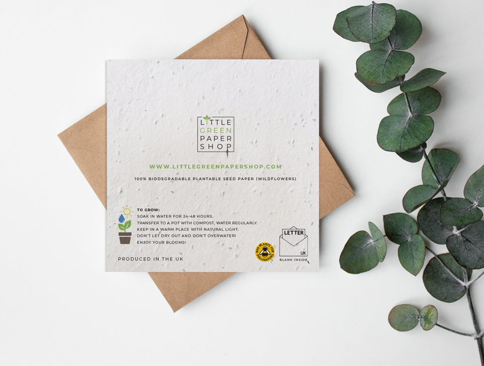 Plantable Seed Paper Plant Puns - Pretty fly for a Cacti Greeting Card Little Green Paper Shop