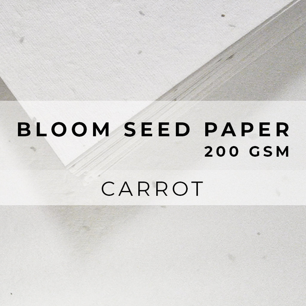 Plantable Seed Paper Bloom Seed Paper - 200gsm Blank Paper Little Green Paper Shop