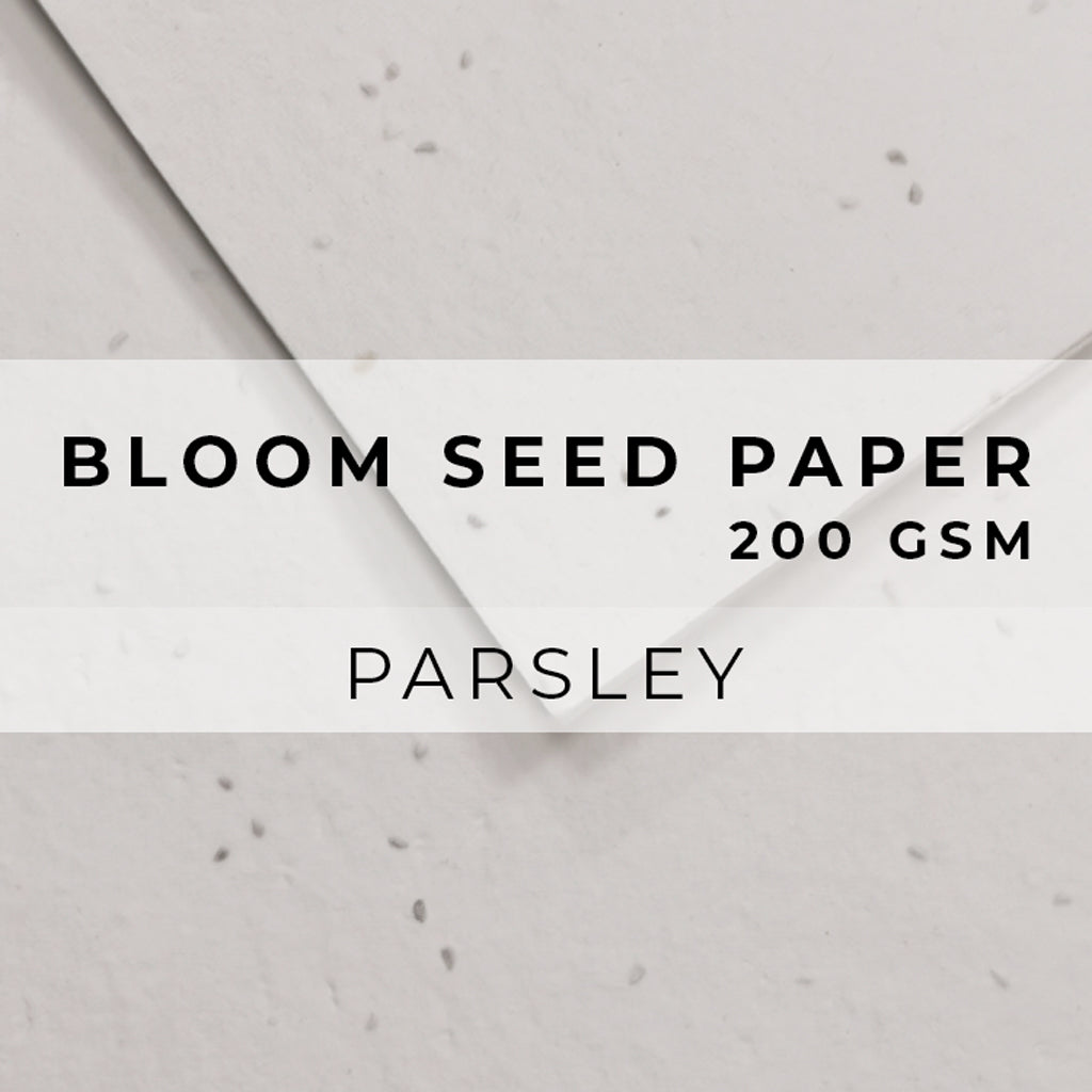Plantable Seed Paper Bloom Seed Paper - 200gsm Blank Paper Little Green Paper Shop