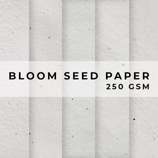 Plantable Seed Paper Bloom Seed Paper - 250gsm Blank Paper Little Green Paper Shop