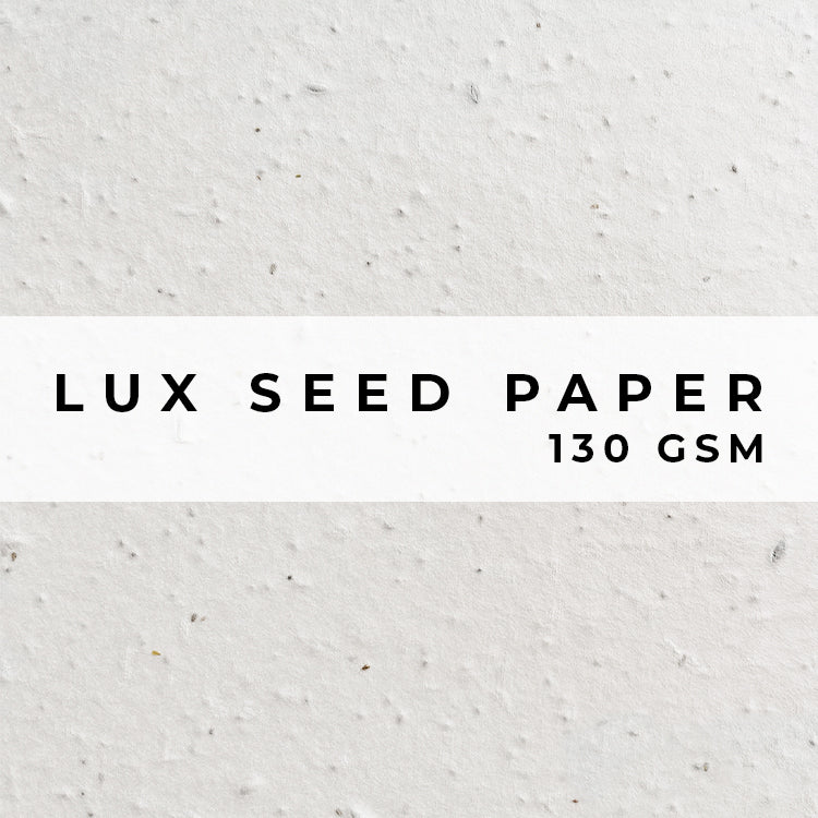 Plantable Seed Paper Lux Seed Paper - 130gsm Blank Paper Little Green Paper Shop