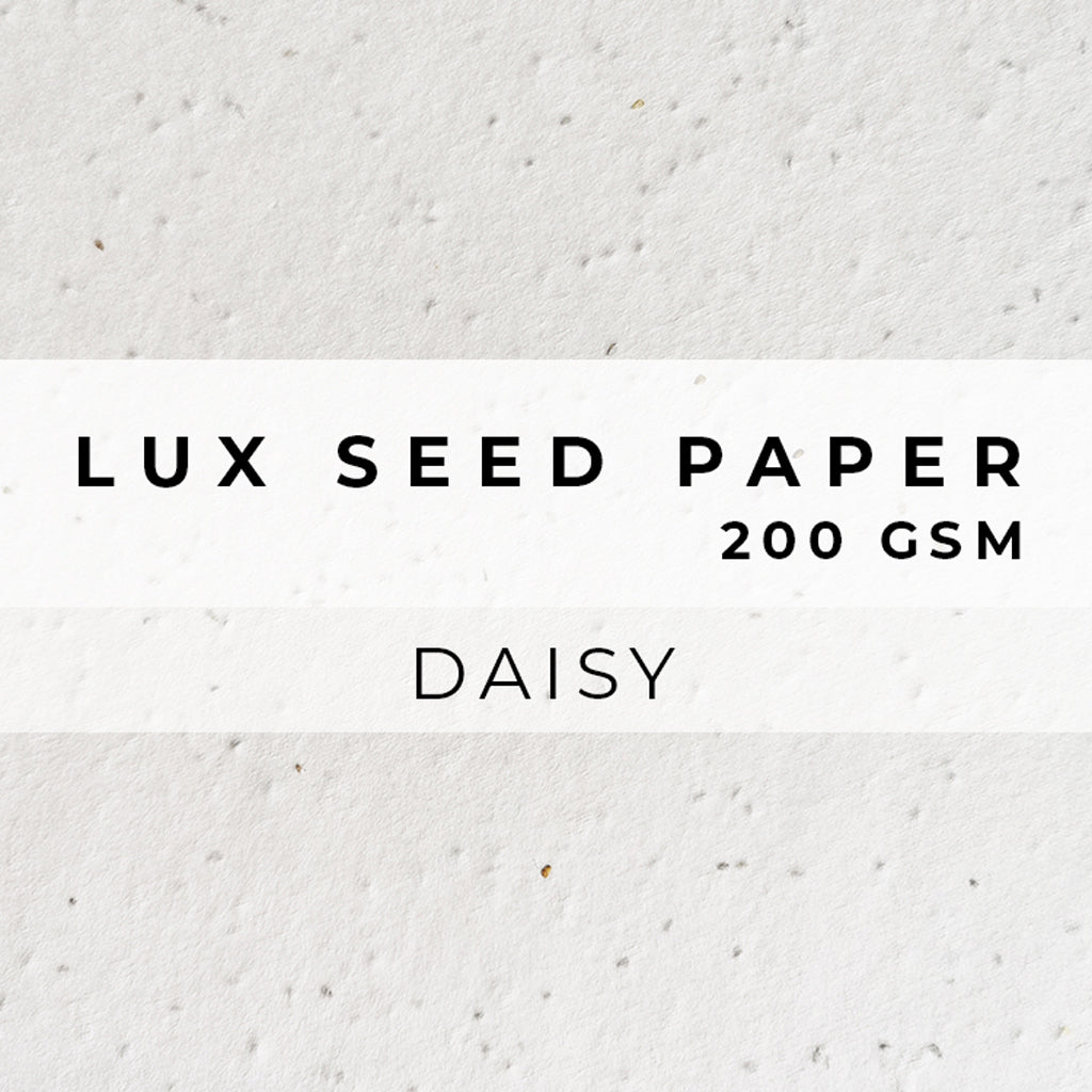 Plantable Seed Paper LUX Seed Paper - 200gsm Blank Paper Little Green Paper Shop