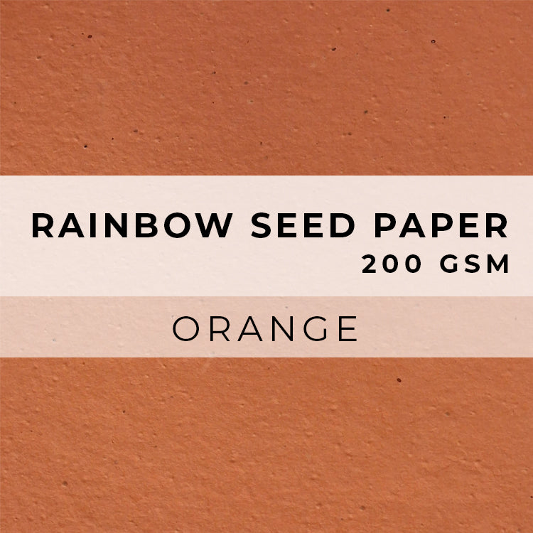 Rainbow Flower Seed Paper - 200gsm