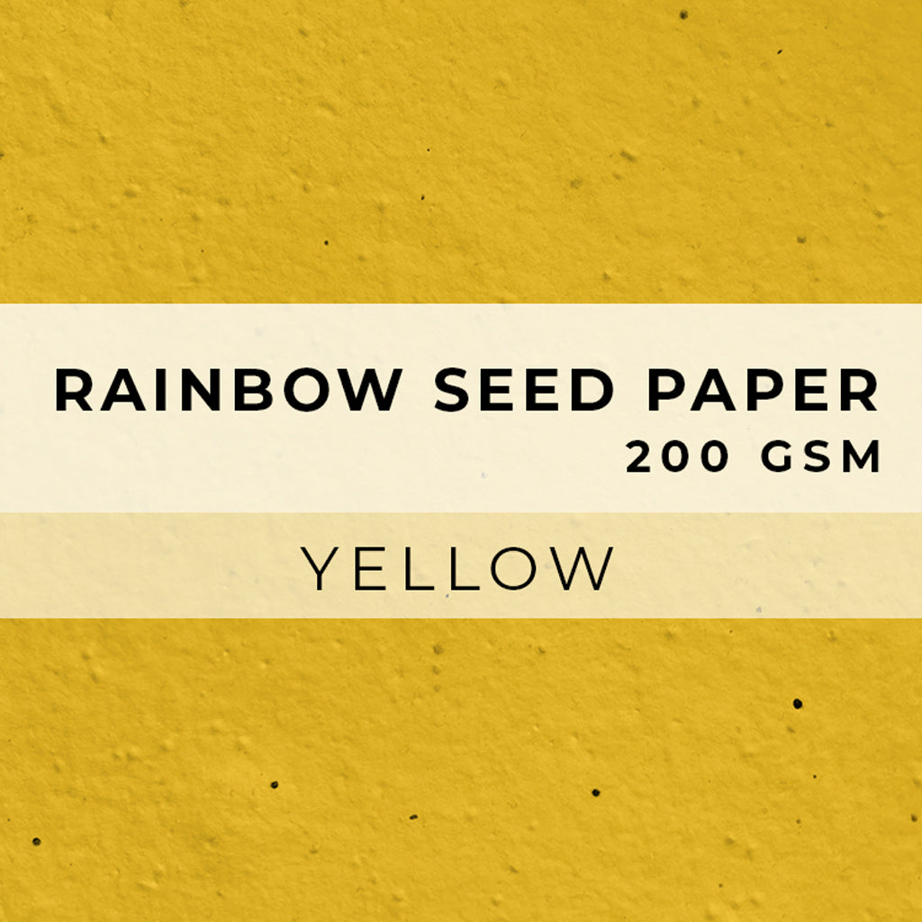 Plantable Seed Paper Rainbow Flower Seed Paper - 200gsm Blank Paper Little Green Paper Shop