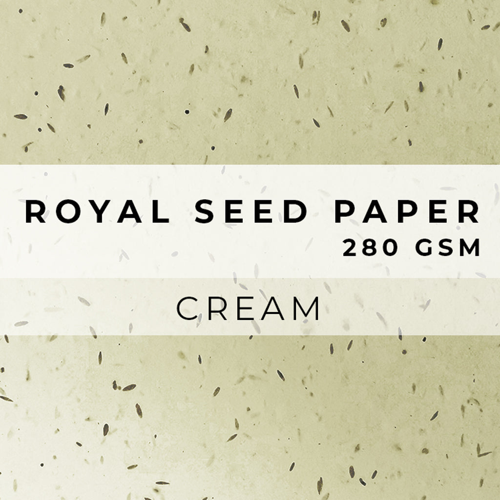 Plantable Seed Paper ROYAL Seed Paper - 280gsm approx Blank Paper Little Green Paper Shop
