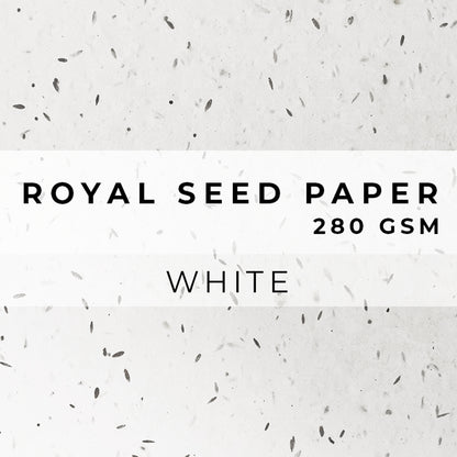 Plantable Seed Paper ROYAL Seed Paper - 280gsm approx Blank Paper Little Green Paper Shop