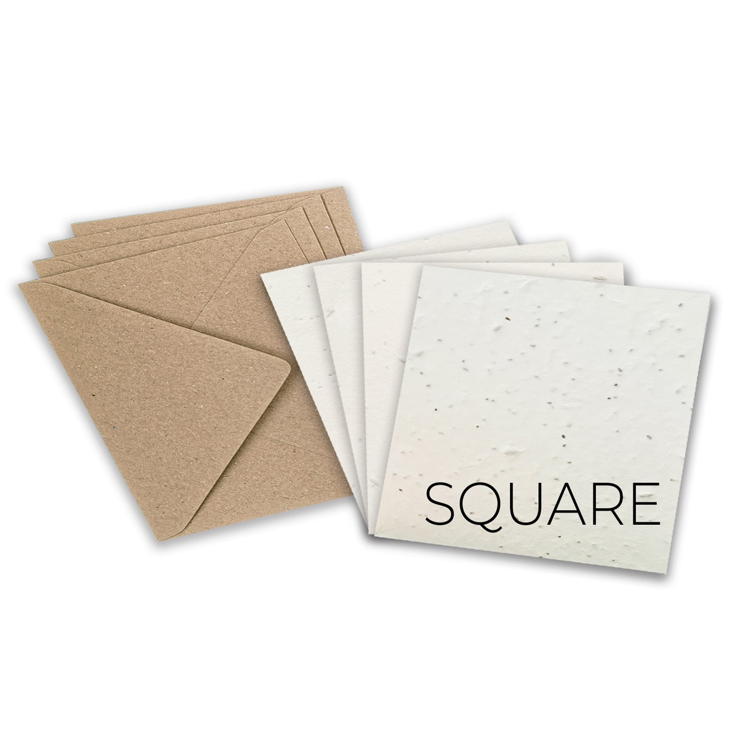 Plantable Seed Paper Blank or Custom SQUARE Greeting Cards Greeting Card Little Green Paper Shop