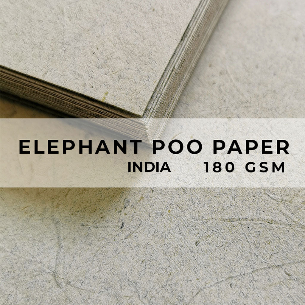 Elephant Poo Paper (India) - 180gsm
