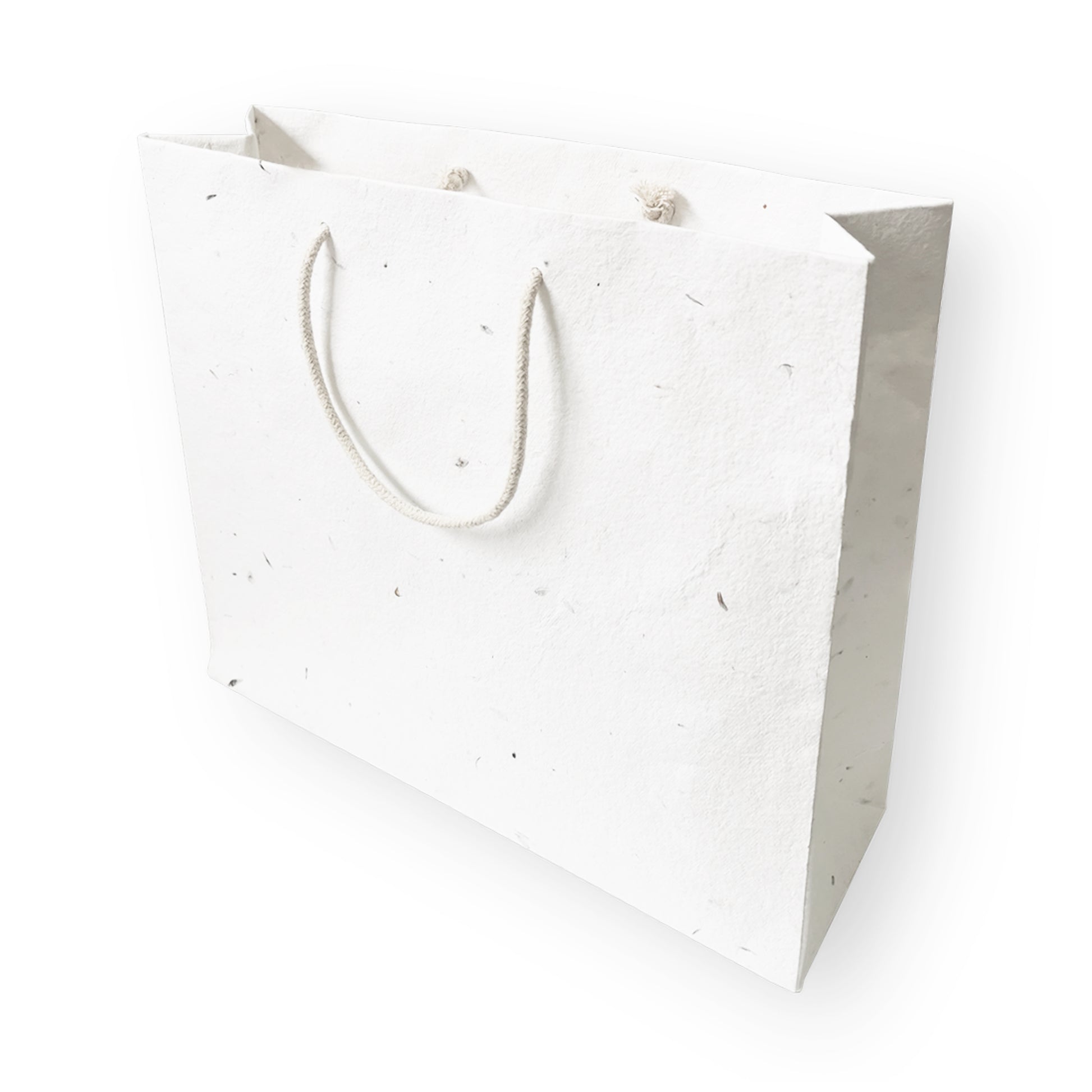 Plantable Seed Paper Seed Paper Gift Bag - Large  Little Green Paper Shop