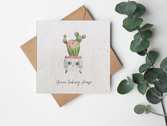 Plantable Seed Paper Plant Puns - Looking Sharp Greeting Card Little Green Paper Shop