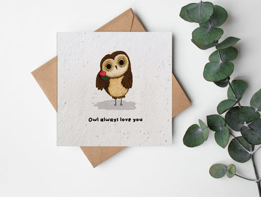 Valentine's Day - Owl