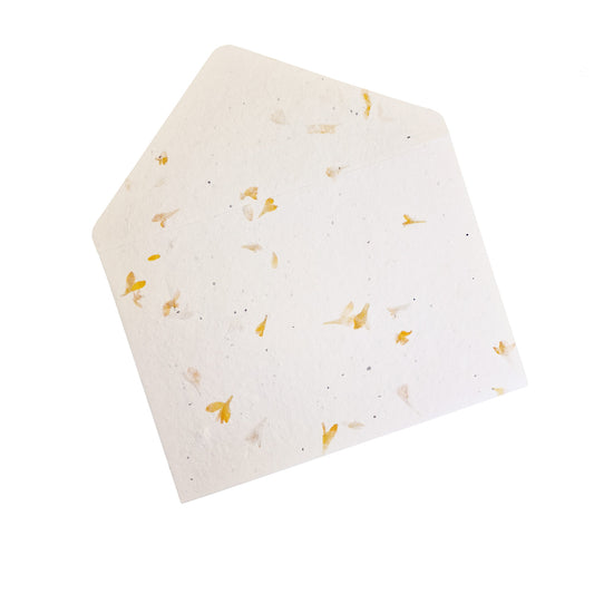Petal Seed Paper Envelopes C5