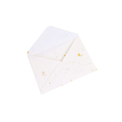 Petal Seed Paper Envelopes C6