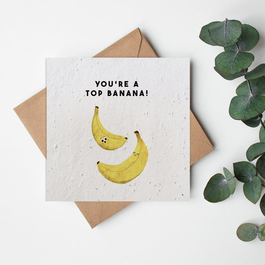 Fruit & Veg Collection - Top Banana