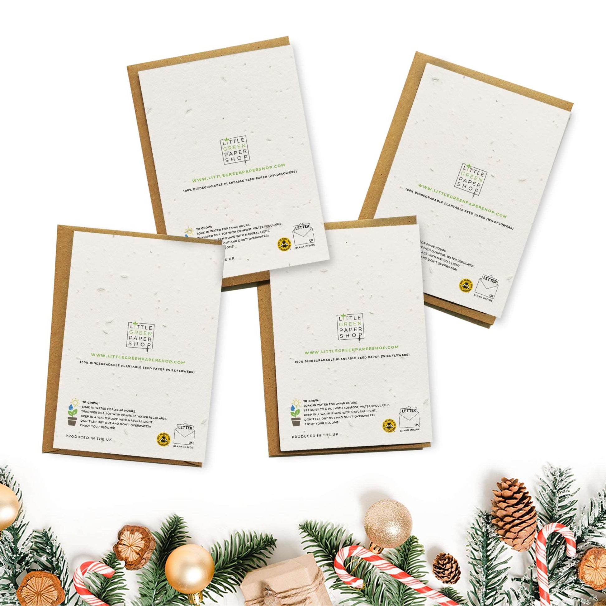Plantable Seed Paper Christmas Cards 4-Pack - Robins Greeting Card Little Green Paper Shop