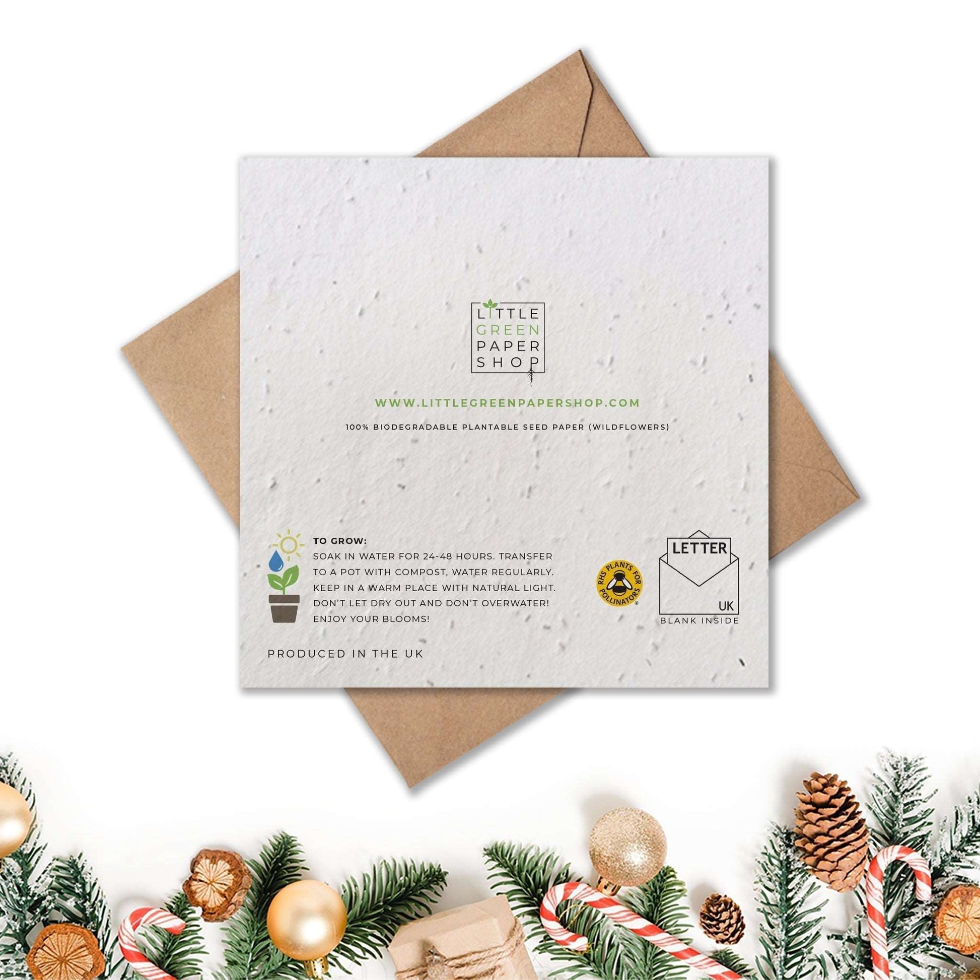 Plantable Seed Paper Christmas Card - Down the Chimney Greeting Card Little Green Paper Shop