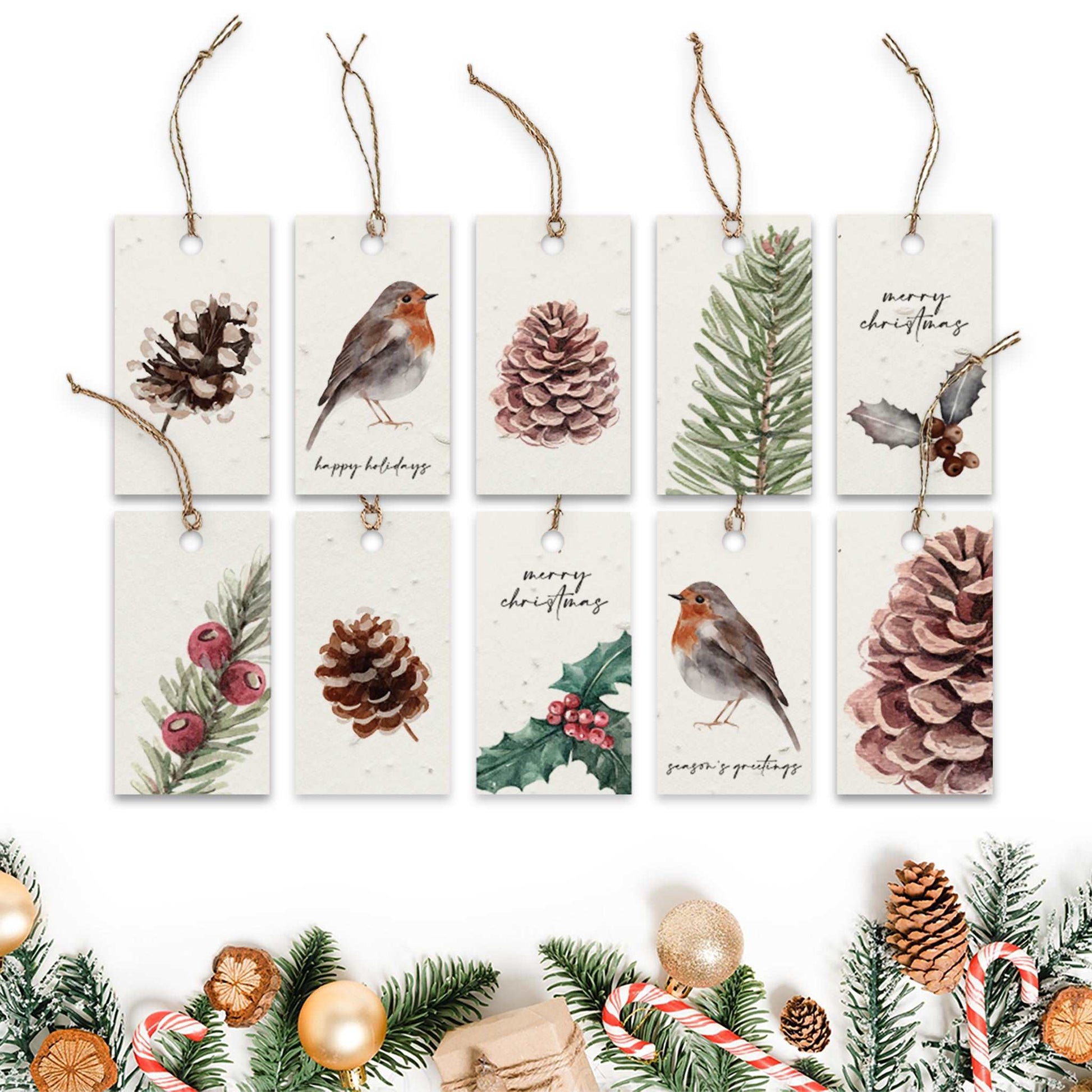 Plantable Seed Paper Tags - Robin  Little Green Paper Shop